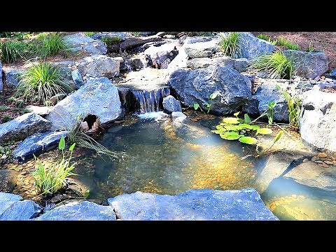 Adding Fish to the Bass Pond!!