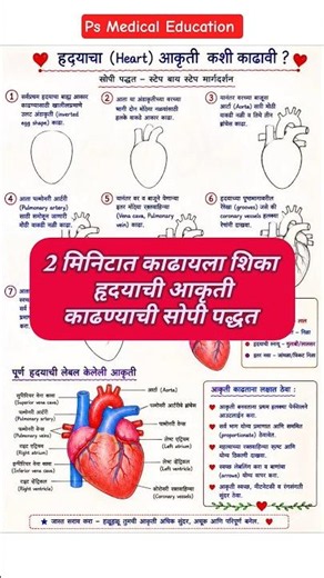 HOW TO DRAW HUMAN HEART DIAGRAM STEP BY STEP | PERFECT HEART DRAWING FOR NURSING STUDENTS #shortfeed