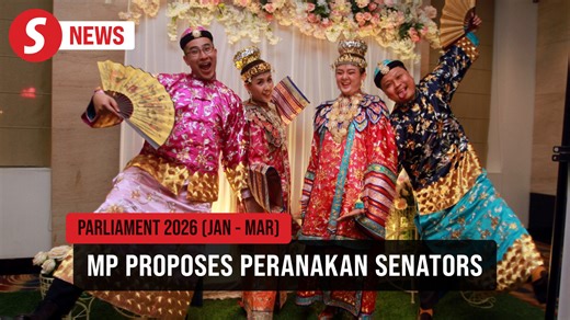 Highlight Baba Nyonya, Chetty communities as national unity icon, urges MP