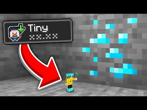 Minecraft, But I Am ᵗᶦⁿʸ..