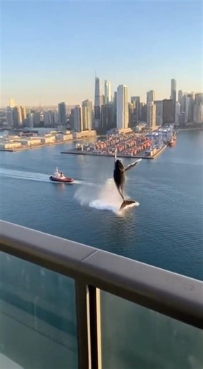 Port Workers Shocked as Whale Explodes Out of Water #unexpected #nature #wow