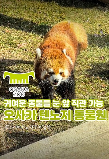 오사카 텐노지 동물원: 북극곰과 귀여운 동물들