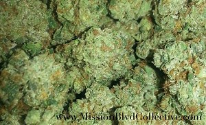 Bart Simpson OG | Marijuana Strain Reviews