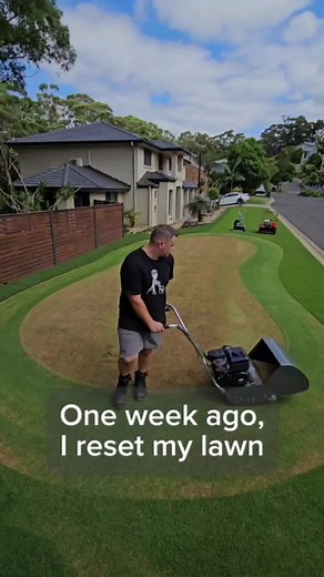 1 Week Recovery: Lawn Height Reset, Mowing & Iron Spraying | #TJs_Turf