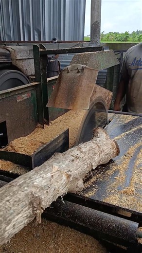 part 0100️ woodworking skills and expertise using a circular saw | Giant Tree Removals