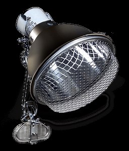 Ceramic Clamp Lamp - Arcadia Reptile