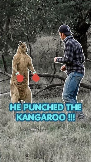 Man vs Kangaroo — Australia's Most Iconic Fight