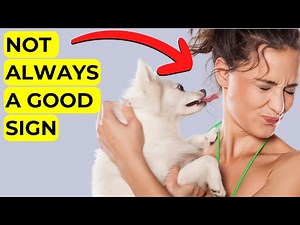 Why Your Dog Licks Your Face?