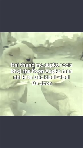 Meme he meme 😉 on Instagram: "🥰🥰 Meme for entertainment & commentary purposes only. Respect to original creators. DM for credit or removal."