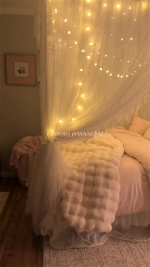 Pink Canopy Bed for a Princess