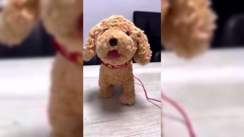 Interactive Robot Dog Toy, Electronic Pet with Touch Sensor, Voice Mimic, Remote Control and Soft Fur, Battery Powered, for adults