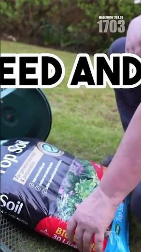 How to Create Perfect Baseball Stripes in Your Lawn