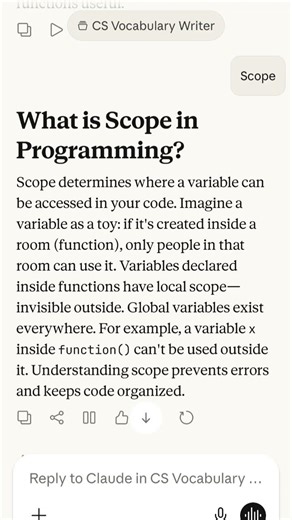 What is Scope in Programming?