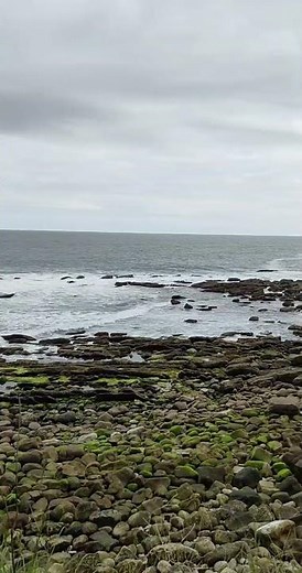 9.2-3【書麥雅（Zumaia）】位於西班牙北部坎塔布連海岸，最吸引人的亮點是「飛立層（Flysch）海蝕地貌」。
