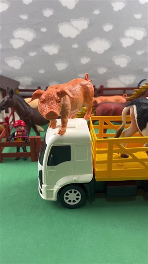 Pig arriving at the Farm #farm #truck #cow #pig #horse