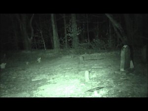 Ghost Town Manifestation right in front of us!! | Under World Ghost Hunters