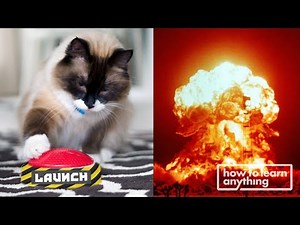 How I Trained My Cat to Launch a Rocket | HTLA