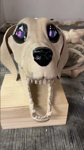 Skeleton dog 7ft skeleton dog with digital eyes #codeorange #halloween #hauntedhouse #homehaunt
