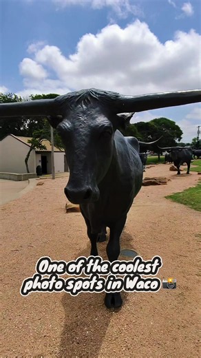 Branding the Brazos Sculptures: Waco's Iconic Cattle Drive | Texas Travel