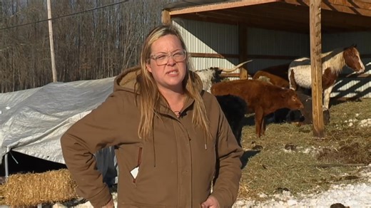 Just days after a barn collapse trapped several animals, Hannimal Farm LLC is mourning the loss of their first cow, while celebrating a new life.https://www.wmar2news.com/news/region/cecil-county/our-first-cow-elkton-farm-mourns-loss-of-mama-cow-after-barn-collapse-welcomes-new-calf | WMAR-2 News Baltimore