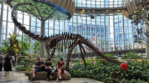 A public space in China combines nature design with a dinosaur exhibit
