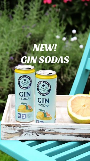 INTRODUCING COTTAGE SPRINGS GIN SODAS 🎉 Now available in an 8 pack featuring FOUR GINcredible fruity flavours 🍊🍋🍑🌺 #launch #new #bts #ontario #gin
