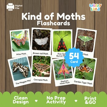 Moth Identification Flashcards | Real Photo Insect Cards | Science, Biodiversity