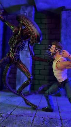 Wolverine vs Alien #xenomorph #alien #necaalien #neca #wolverine #marvellegends #logan