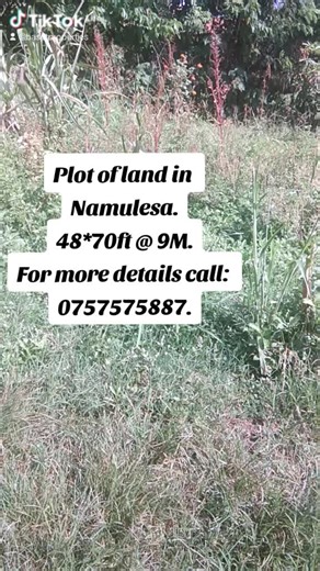 Baset Properties (@basetproperties)’s videos with original sound - Baset Properties