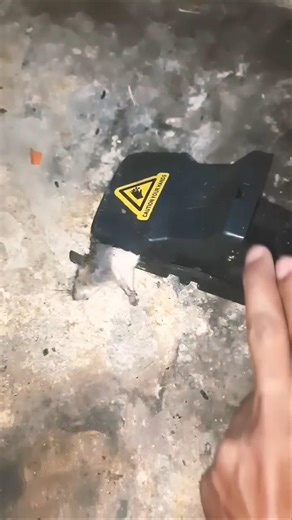 Mouse Trap / Easy To Use Mouse Catcher #mousetrap #rattrap