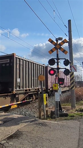 【元北斗星】EF510貨物列車 中店踏切高速通過
