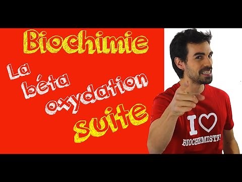 Biochemistry Course: Beta Oxidation, Continued