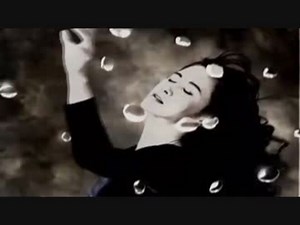 「地上の星」の英語バージョン　～The stars of our planet～