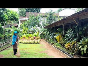 IBUKU 🤲 MENIKMATIK MASA PENSIUN DI DESA BIKIN AWET MUDA⁉️ RUMAH NDESO VIRAL DI KOTA WONOGIRI 🤲🏡🙏