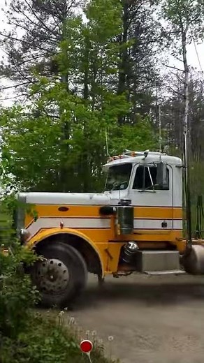 Jake brake in the v12 359