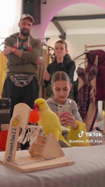 Meet up sa Kićom na PDH marketu