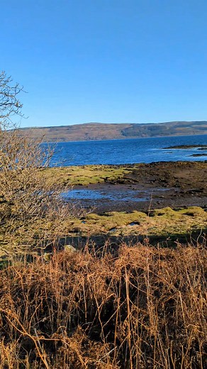 A beautiful but cold day..out and about drawing again. | Blue Pig