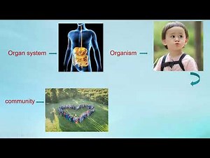 GED Life Science ( Cell Structure And Organization)