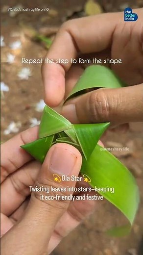 This Christmas, Try DIY Eco-Friendly Decor!