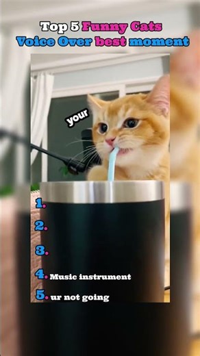 Top 5 cats funny voice over moments 😂😂😂