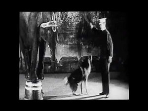 An intorduction to VAUDEVILLE