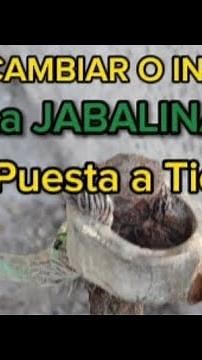 Grounding Rod - How to Install and/or Replace Them