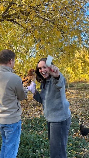 3.4K views · 73 reactions | DIY Chicken Photo Frame ✨ The cutest, easy craft idea using Polaroids and fabric backing! What do you think of this spot for hanging it? #polaroidideas #fabricmattedframe #homedecordiy | Jessica Frazier | Facebook