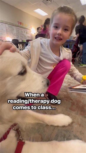 What happens when a reading / therapy dog comes to class? It's truly magical to watch! It's such a relaxed atomaphere, because dogs don't judge! Children smile, share thoughts and ask questions. Then they read. It is truly amazing. #therapydog #magicalmoments #readingisfun #readtome #volunteering #specialmoments | Charlie the Therapy Dog
