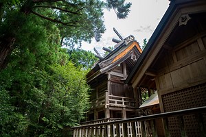 穏やかほのぼの和風曲 　無料で使える /著作権フリーBGM - HMSounds フリー音楽・効果音制作