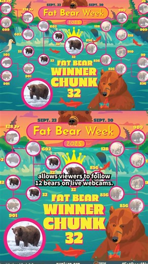 34K views · 329 reactions | Anticipation is finally over. Chunk, a towering brown bear with a broken jaw, has won Alaska's Fat Bear Contest. The contest allowed viewers to follow 12 bears on live webcams, casting their ballots in a bracket-style, single-elimination tournament. | Today Show | Facebook
