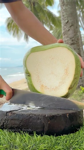 This Green Coconut Is Absolutely Perfect