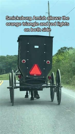 The Smicksburg Amish actually allow their people to apply the orange worldly triangle ￼