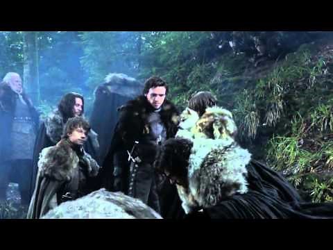 Direwolf Puppies Scene - Game of Thrones 1x01 (HD)