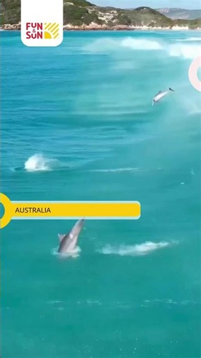 Australian Beaches - Paradise on the Pacific Coast! 🇦🇺 #funandsun